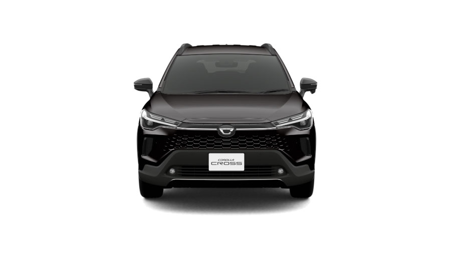 ブラックマイカ〈209〉フロント